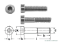 Preview: 50 pcs DIN 7984 M3x16 A2 Hexagon socket low head stainless steel