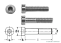 Preview: 50 pcs DIN 7984 M3x4 A2 Hexagon socket head cap screws with low head, steonless steel