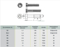 Preview: 50 pcs ISO 14579 M2x5 TX6 A2 Hexalobular socket cheese head screws, stainless steel