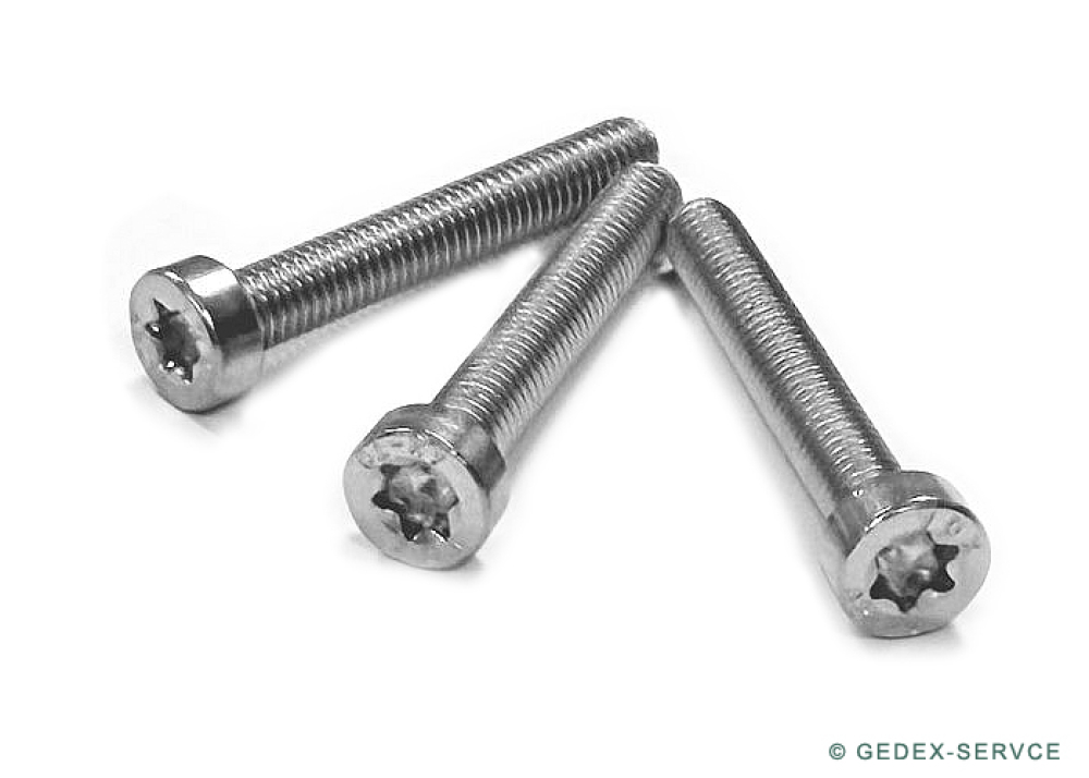 50 pcs ISO 14579 M2x5 TX6 A2 Hexalobular socket cheese head screws, stainless steel