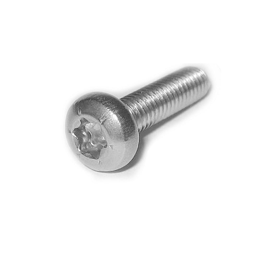 100 pcs ISO 14583 M2x4 TX6 A2 Pan head screws, six lobe stainless steel DIN 7985